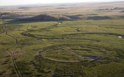 Why the Sintashta? A Forgotten World Worth Remembering